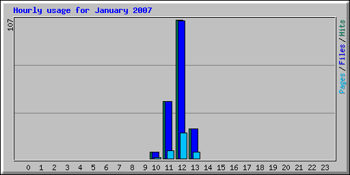Hourly usage for January 2007