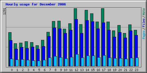 Hourly usage for December 2006