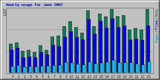 Hourly usage for June 2007